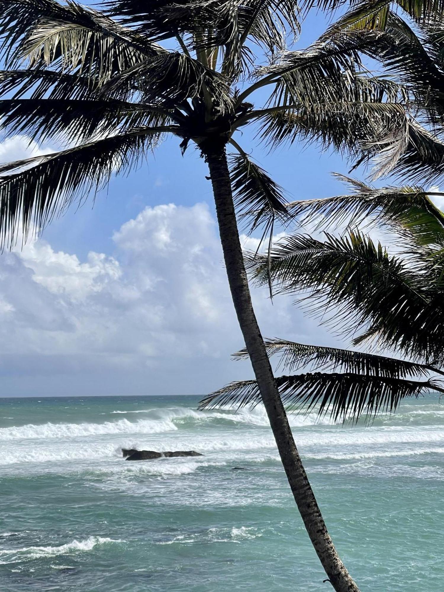 D' Art Villa Retreat And Spa Tangalle Eksteriør bilde