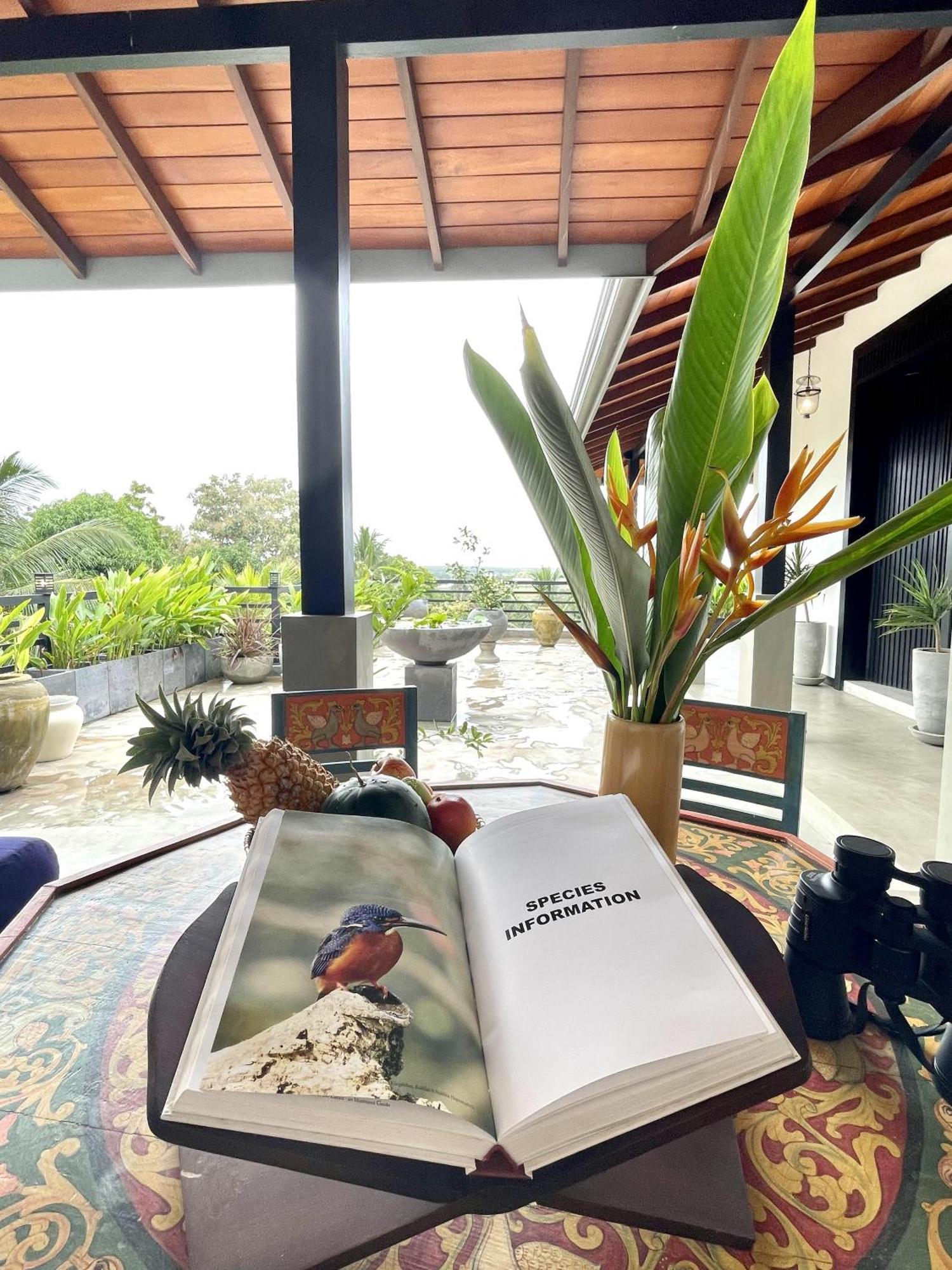 D' Art Villa Retreat And Spa Tangalle Eksteriør bilde